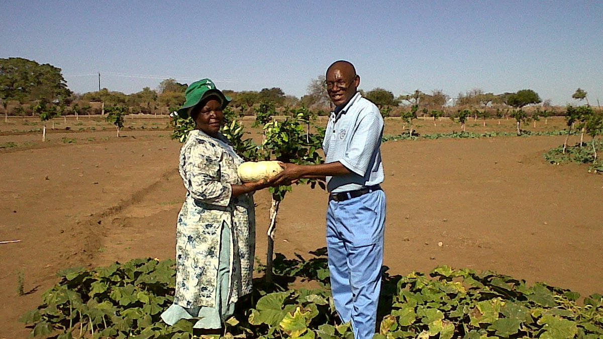An extension visit with a grower in the field
